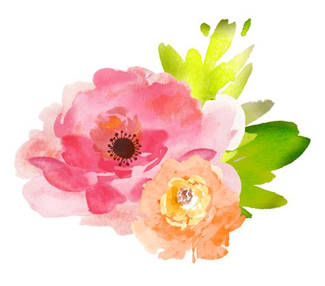 Watercolor: Flowers Watercolour Flowers Watercolor painting Transparent Watercolor Clip art ...