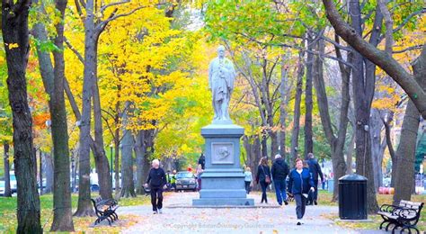 Boston Fall Foliage 2024 - 11 Best Places to See It - Boston Discovery ...