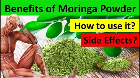 Benefits of Moringa Powder | How to Use Moringa Powder | Side Effects ...