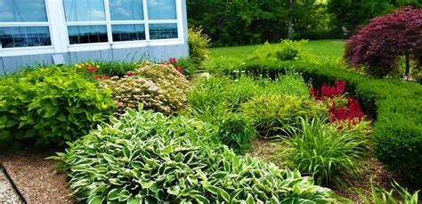 Commercial Landscaping- Low Maintenance Trends and How Landscaping ...