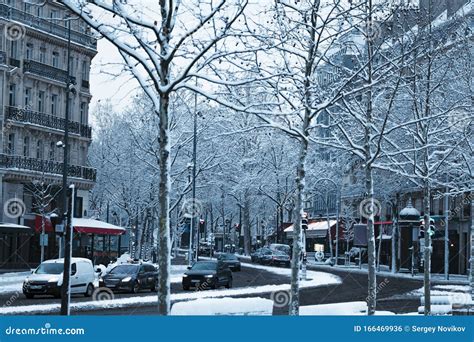 Paris Street, Trees Covered with Snow during Day Stock Photo - Image of ...