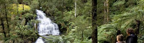 Things to do at Great Otway National Park