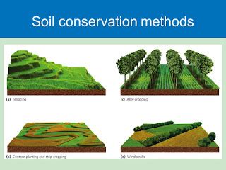 Soil conservation: soil conservation