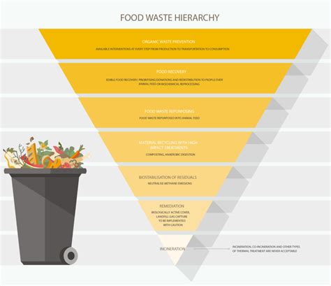 The best European examples for collecting bio-waste | Blog MiZA