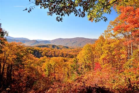 Smokies Fall Foliage in Pigeon Forge, TN, USA