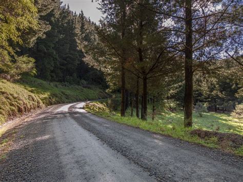 Rural Landscape: Dirt Road and Trees - HDRi Maps and Backplates