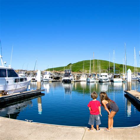 Coffs Harbour Holiday Park Map - Reflections Holiday Park