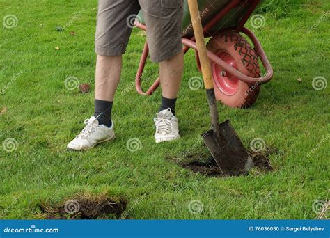 Digging Shovel Stock Photos - Download 13,569 Royalty Free Photos