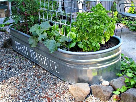 12 Brilliant Container Vegetable Gardening Ideas • The Garden Glove