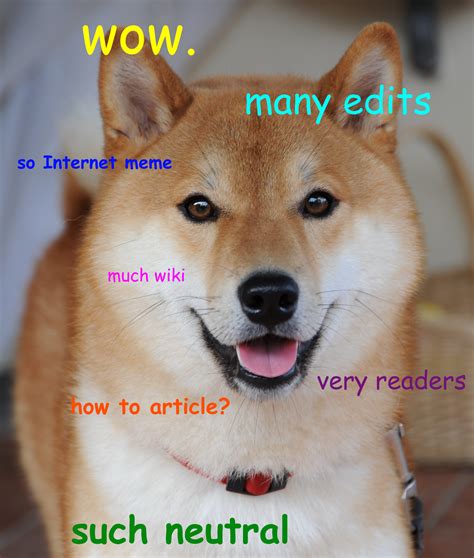 File:Doge homemade meme.jpg - Wikimedia Commons