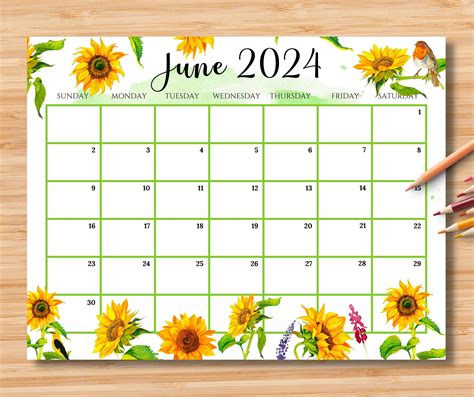 Sunflower June 2024 Calendar