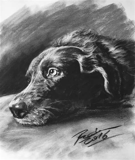 Custom Pet Portrait Charcoal Custom Dog Portrait Pet - Etsy