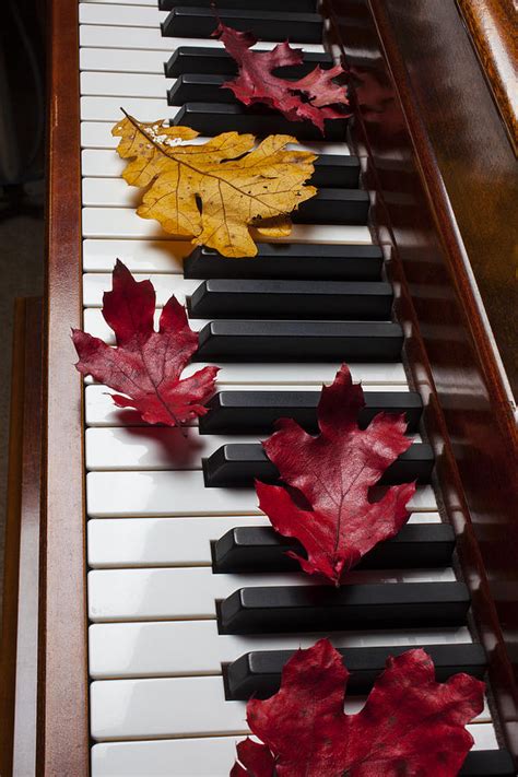 Autumn leaves on piano Photograph by Garry Gay - Pixels