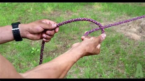 How to tie an end-of-line Alpine Butterfly in 2024 | Best knots, Knots guide, Climbing knots