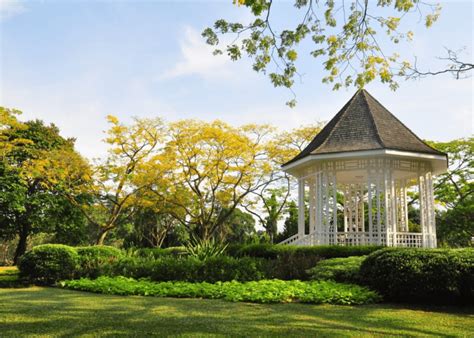 The ultimate guide to Singapore Botanic Gardens | Honeycombers