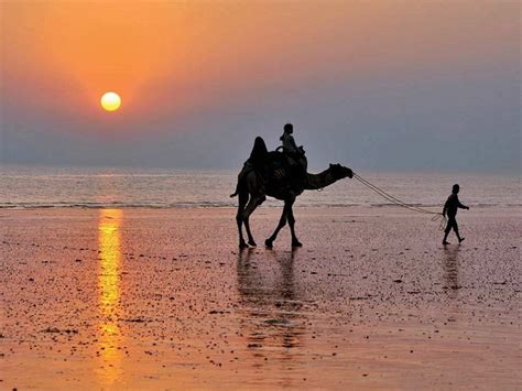 11 Best Beaches in Gujarat | Beach Resorts in Gujarat