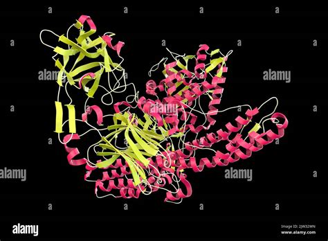 Molecule of tetanus neurotoxin hi-res stock photography and images - Alamy