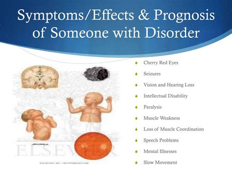 PPT - Tay -Sachs Disease PowerPoint Presentation, free download - ID:1915794