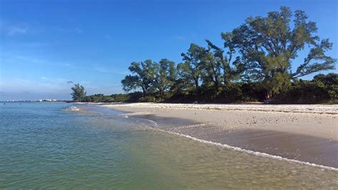 Robb's Thursday Morning Beach Walk and Red Tide Update in N Naples, FL 10/24.19 - YouTube