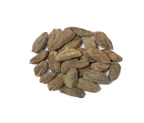 Barringtonia Acutangula Seeds, Packaging Type: Bag at Rs 2800/kg in Dehradun