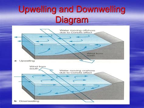 Definitions & Causes of Upwelling and Downwelling in Oceans – Home Deco