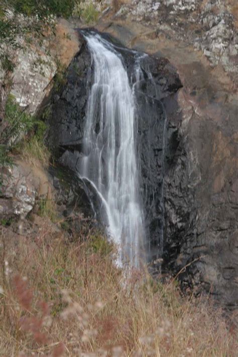 Cedar Creek Falls - Waterfall and Rock Pools in Tamborine NP