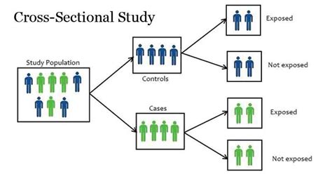 Cross-Sectional Study - Epidemiology - Microbe Notes