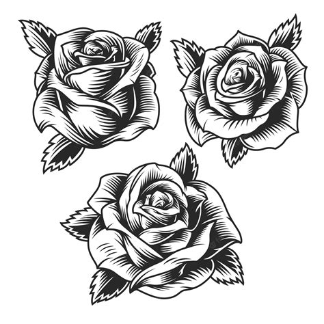 Vintage Rose Tattoos