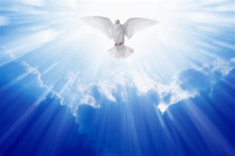 Holy Spirit Dove Images – Browse 18,727 Stock Photos, Vectors, and ...