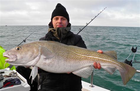 Winter Cod Fishing | How to Catch Big Cod in Winter