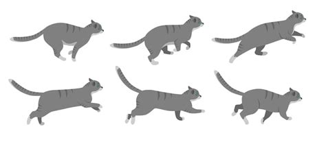 Premium Vector | Cute cat cartoon character running vector ...