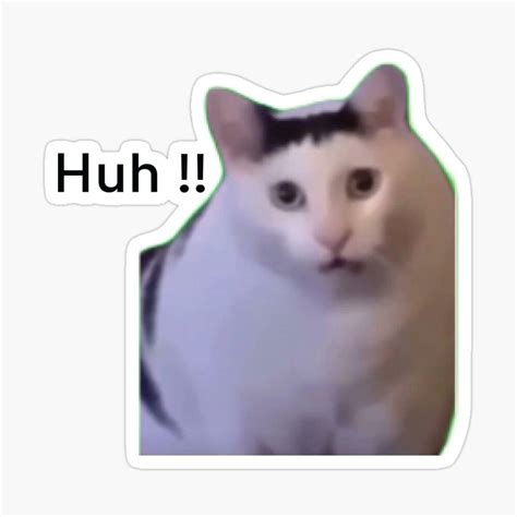 "huh cat meme viral huh? meme" Sticker for Sale by joy4shirt | Cute ...