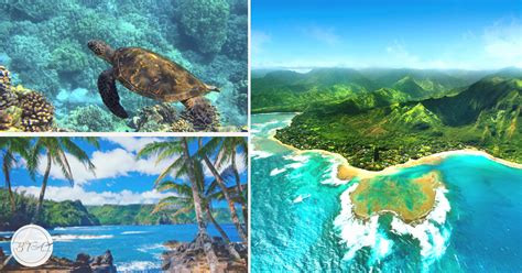 Hawaii Tropical Vacation, How To Choose Your Island