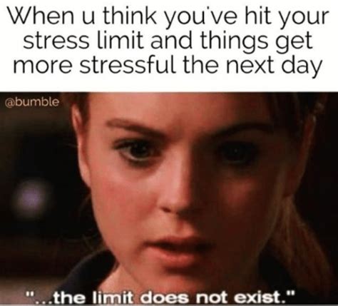 30 Memes About Stress That Will Make You Care A Bit Less - Feels Gallery | eBaum's World