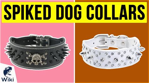 10 Best Spiked Dog Collars 2020 - YouTube