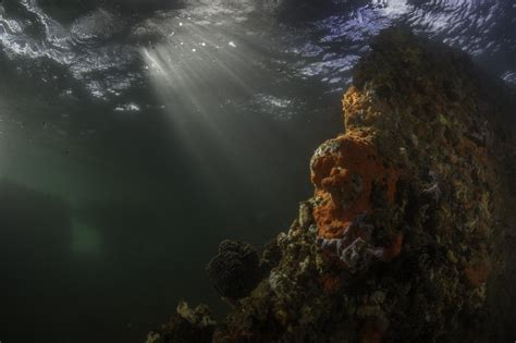 Uss Arizona Wreck Underwater