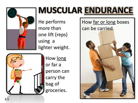 PPT - Muscular Strength and Muscular Endurance PowerPoint Presentation ...