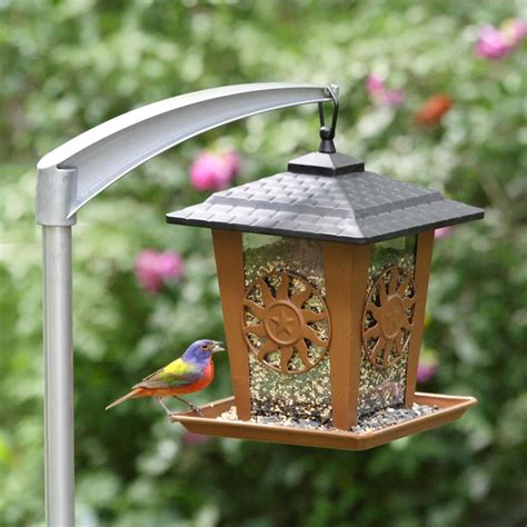 Amazon.com : Perky-Pet 5107-4 Universal Bird Feeder Pole : Wild Bird Feeder Accessories : Garden ...