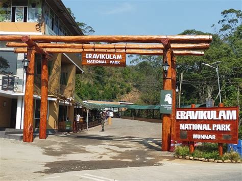 Eravikulam National Park (Rajamala)