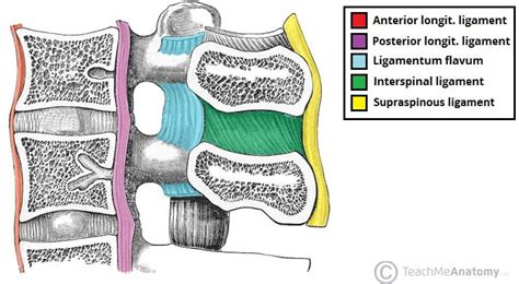 Spinal Ligament Injuries and Neck Pain | Regenexx® Pittsburgh Surgery Alternative