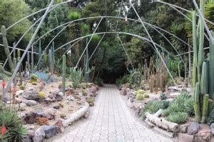 Jardin-Botanico-Quito-Cactus-Garden – Travel Wiser