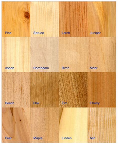 Wood types and appearance | Types of wood, Wood, Carpentry projects