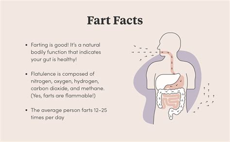 How to Make Yourself Fart: Relieve Gas With Class