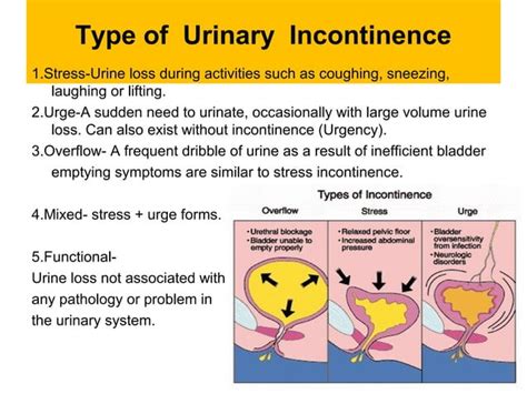 Neurogenic Bladder | PPT