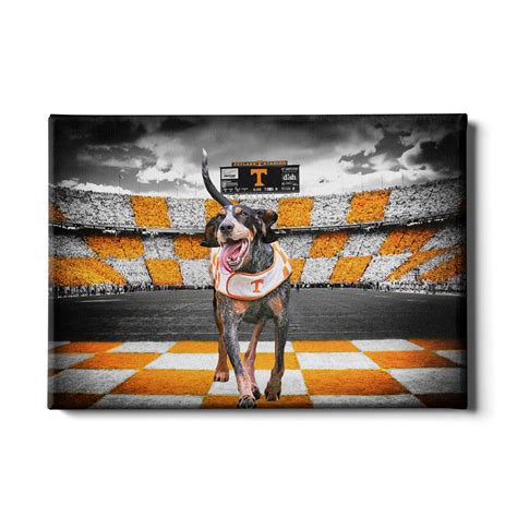 Tennessee Volunteers - Smokey Mascot 1-Layer Dimensional - College Wall Art