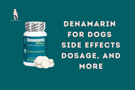 Denamarin For Dogs Side Effects Dosage, and More - Canine Liver Disease Resource Website