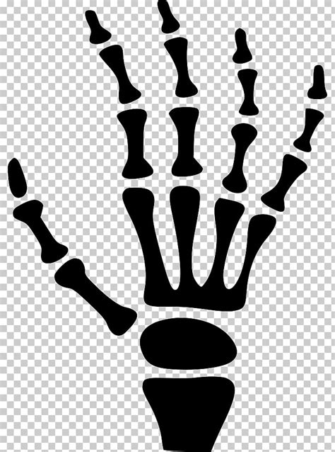 clipart skeleton hand 10 free Cliparts | Download images on Clipground 2024