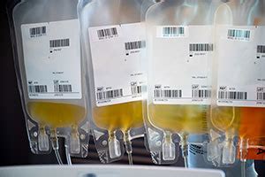 Student-led convalescent plasma drive benefits area coronavirus patients | News | Notre Dame ...