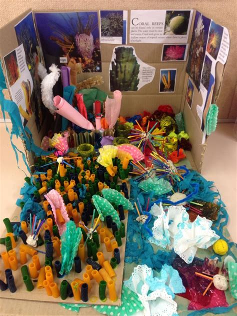 preschool coral reef craft | Coral reef craft, Under the sea crafts, Kindergarten crafts