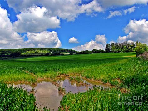 Landscape of Hungary Photograph by Alexa Szlavics - Fine Art America